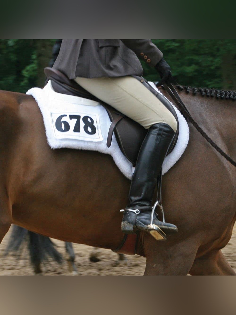 Schneiders E-Z View Back Insert Pin On Numbers Hunter Horse Saddle Pad | White
